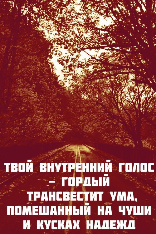 Гордый голос. Твой внутренний голос. Внутренний голос РФ. Запертый внутренний голос. Кто твой внутренний я.