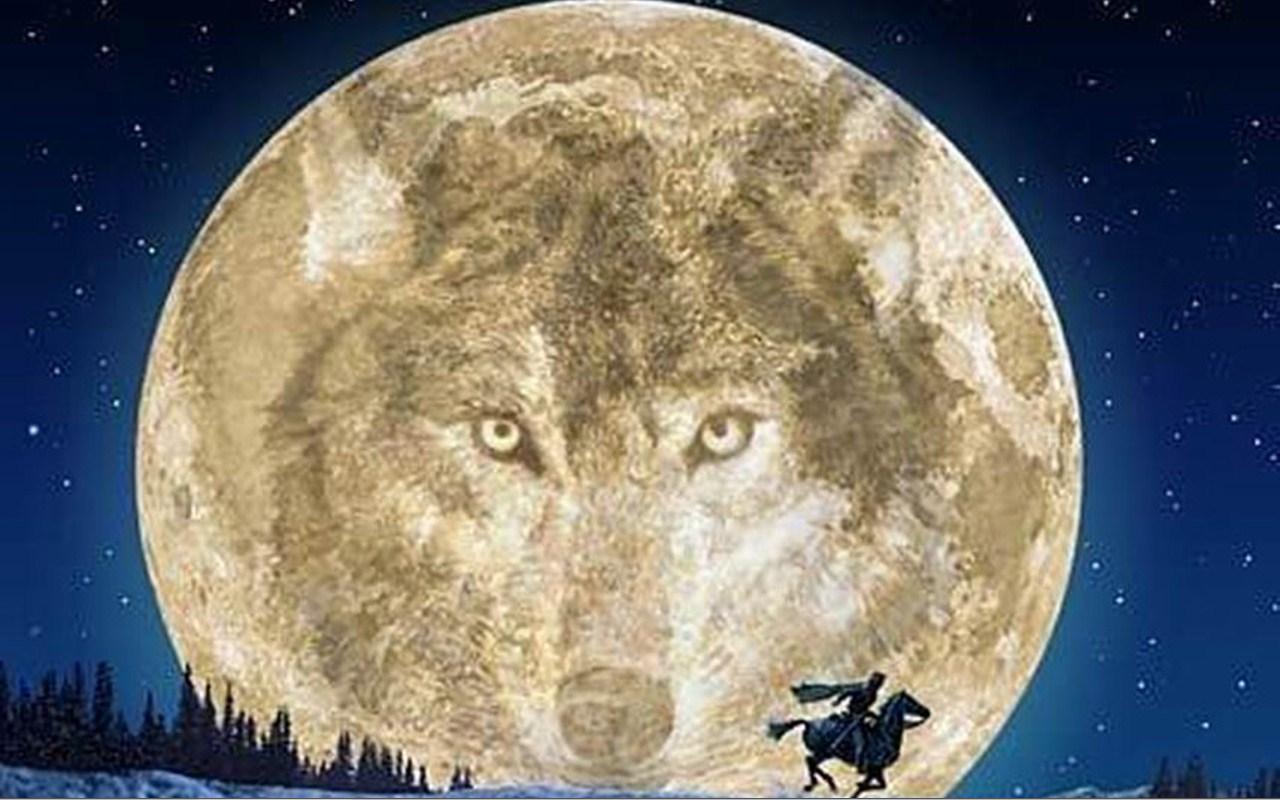 Морда волка на фоне Луны