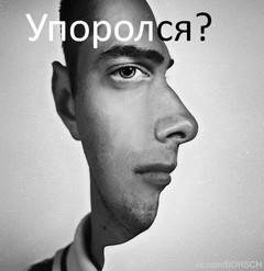 [Avatar]