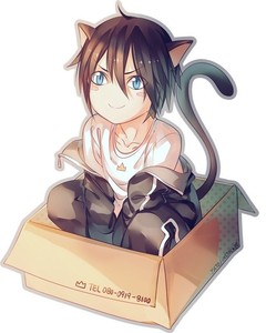 Аватар Black cat+_+
