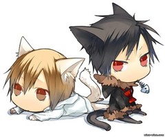 [Avatar]