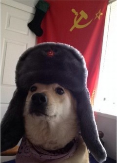 Аватар Соль Земли