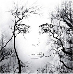 [Avatar]