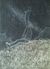 Aragog