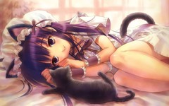 [Avatar]