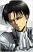 Rivaille Ackerman (Levi)
