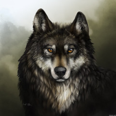 dark_wolf )))