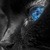 [Avatar]