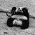 [Avatar]