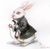 White Rabbit K