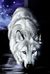 WhiteWildWolf