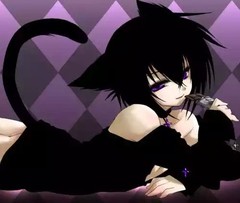 † Black Cat †