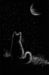 Полночная кошка