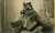 Cat Behemoth