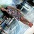 [Avatar]