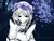 Marceline_Abadeer