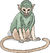 Green_Monkey