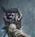 Мрачный Филин