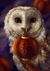 Moon Owl