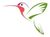 humming-bird