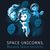 space unicorn