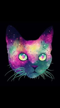 neko.kenny