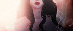 [Avatar]