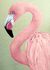 Розовый  Фламинго