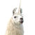 LamaUnicorn