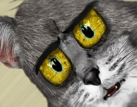 [Avatar]