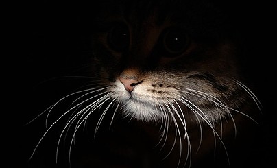 Размышлизмы о вечном и не очень