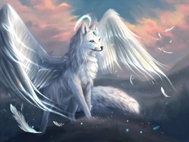 WhiteFox12