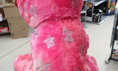 Perrita