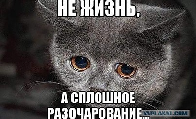 Взрыв мозга!