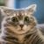 Котя#4057