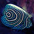 angelfish