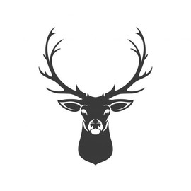 [Avatar]
