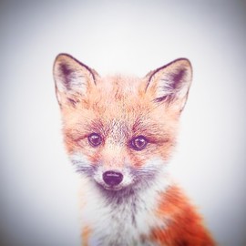 Аватар Ten_lis