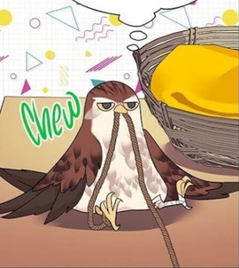 Аватар Umaru_chan.c: