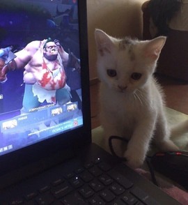 [Avatar]
