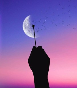 [Avatar]