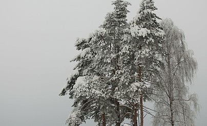 Новогодний разгуляй: Владимир - Суздаль