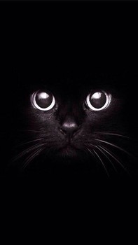 [Avatar]