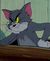 Котик_Томик