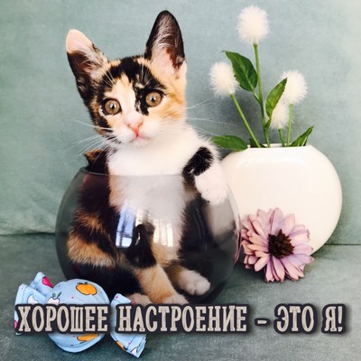 Моё настроение 3 