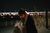 lonelygoose
