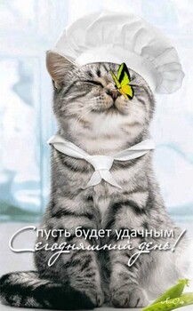 [Avatar]