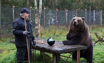 работаем
