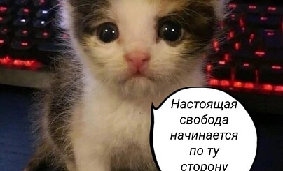 плохие новости
