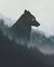 %#Foggy_Fox#%